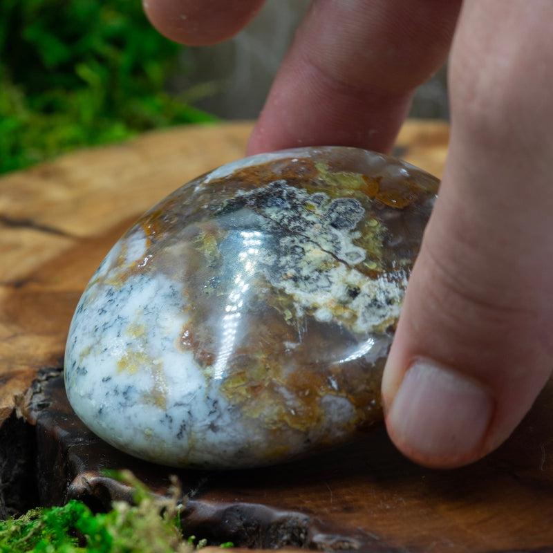 Polished Dendritic Common Opal Palm Stones || Purification-Nature's Treasures