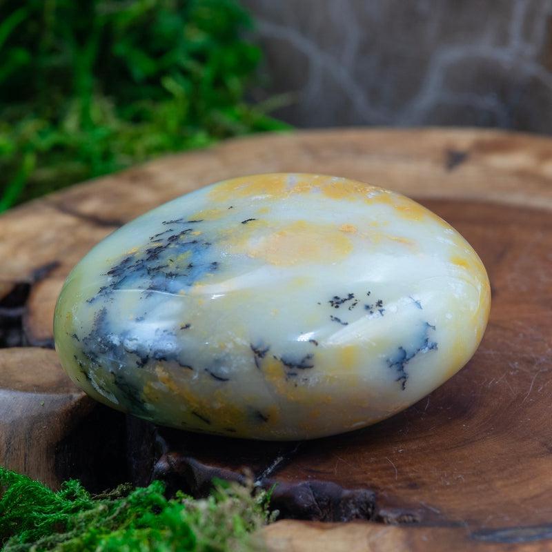 Polished Dendritic Common Opal Palm Stones || Purification-Nature's Treasures