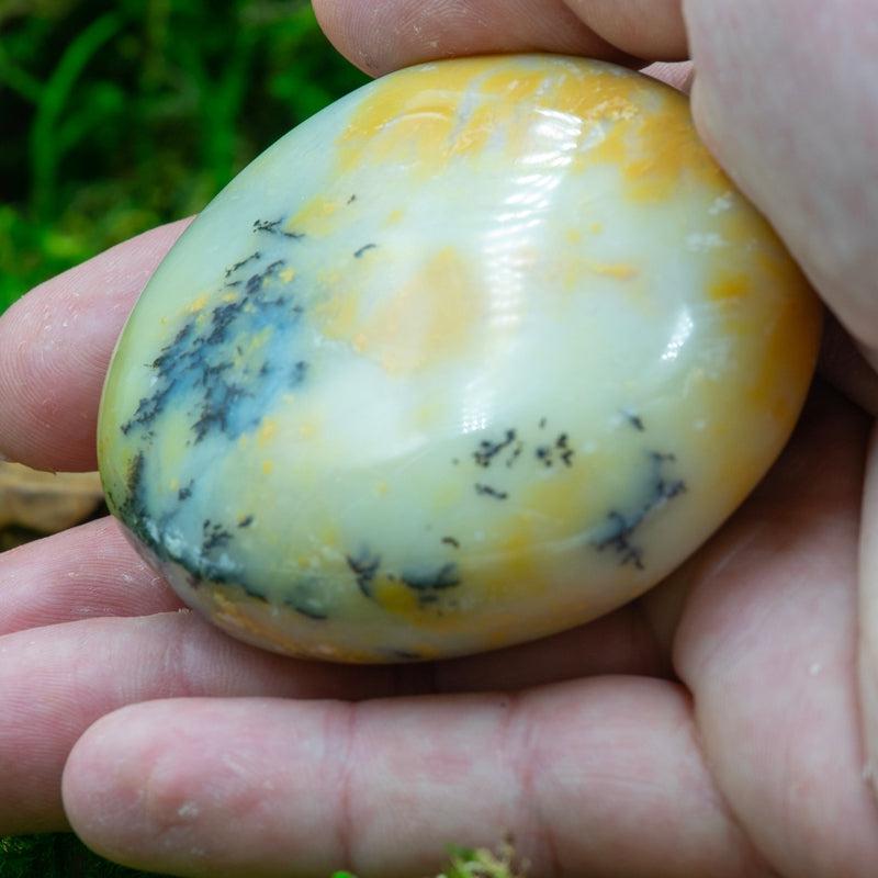 Polished Dendritic Common Opal Palm Stones || Purification-Nature's Treasures