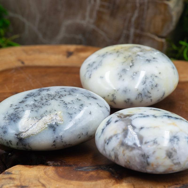 Polished Dendritic Common Opal Palm Stones || Purification-Nature's Treasures