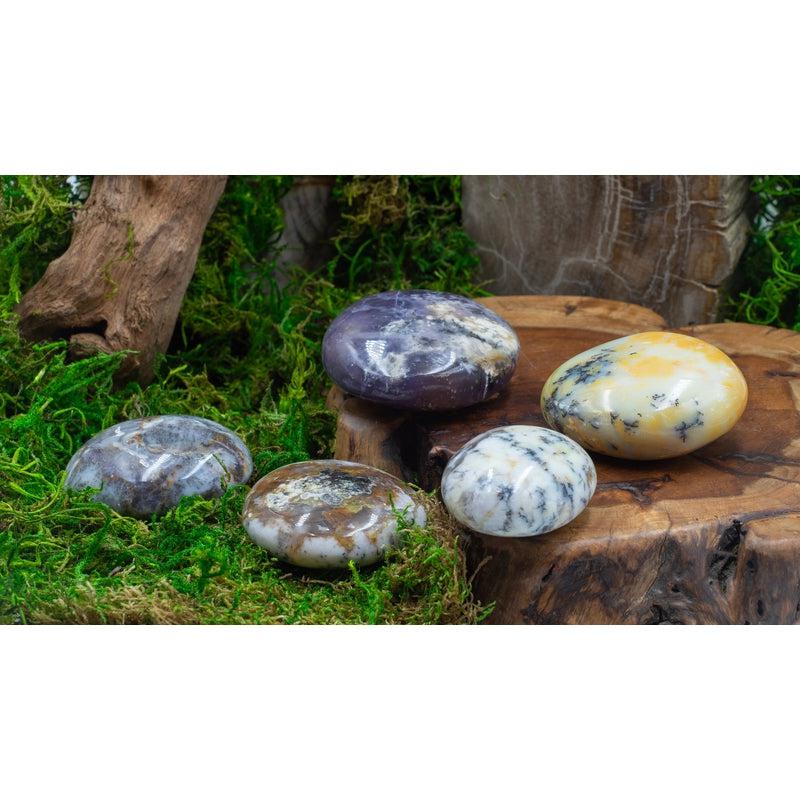 Polished Dendritic Common Opal Palm Stones || Purification-Nature's Treasures