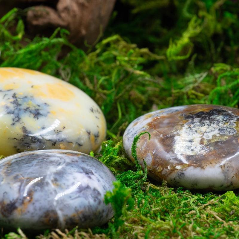 Polished Dendritic Common Opal Palm Stones || Purification-Nature's Treasures