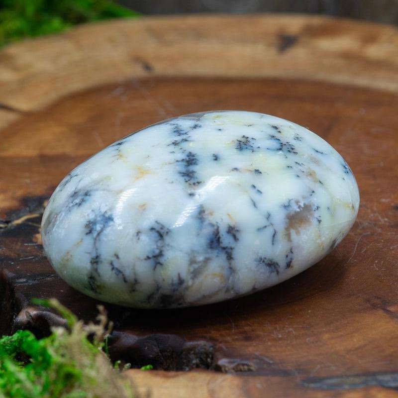 Polished Dendritic Common Opal Palm Stones || Purification-Nature's Treasures