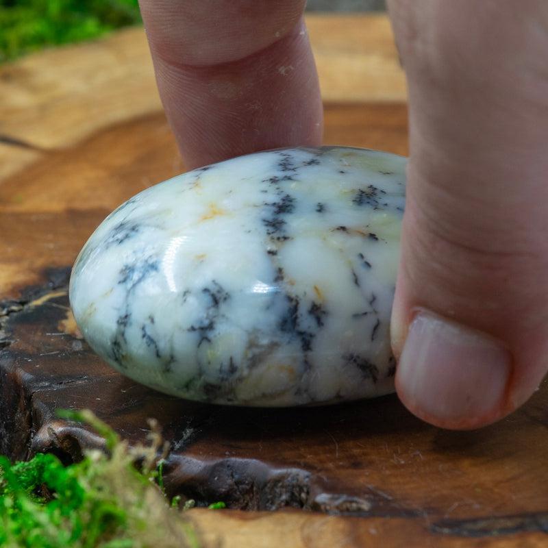 Polished Dendritic Common Opal Palm Stones || Purification-Nature's Treasures