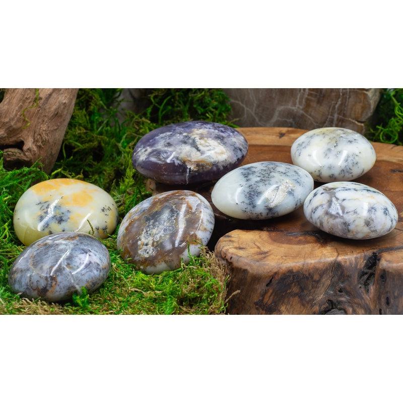 Polished Dendritic Common Opal Palm Stones || Purification