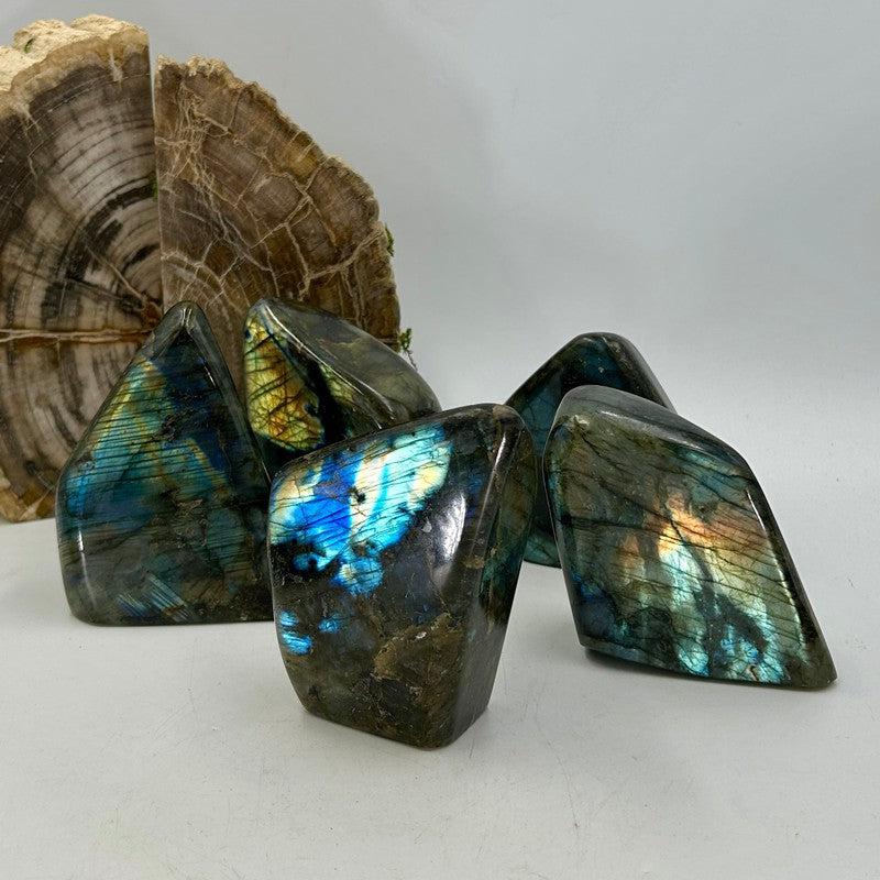 Polished Flashy Labradorite Free Forms || Psychic Protection-Nature's Treasures