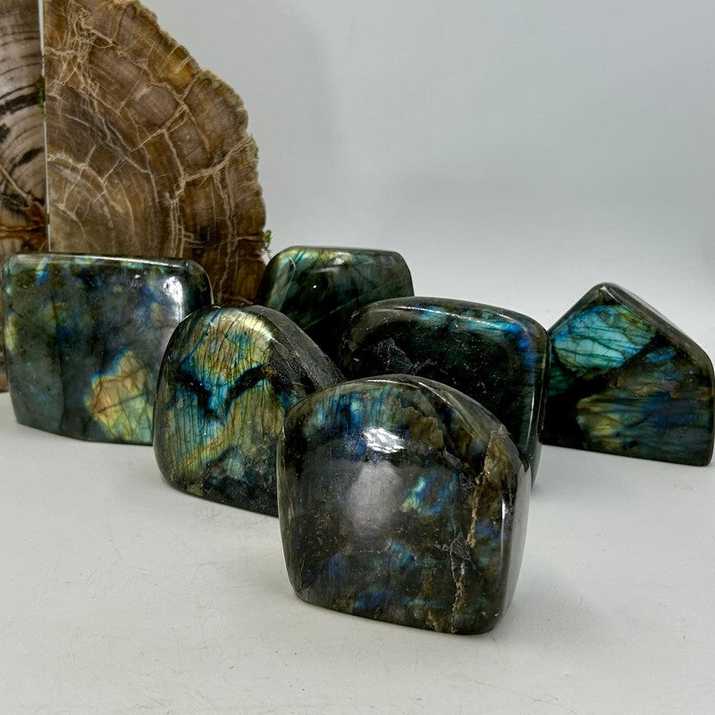 Polished Flashy Labradorite Free Forms || Psychic Protection-Nature's Treasures