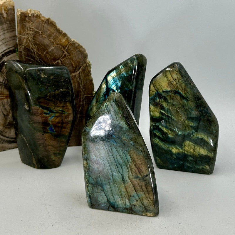 Polished Flashy Labradorite Free Forms || Psychic Protection-Nature's Treasures