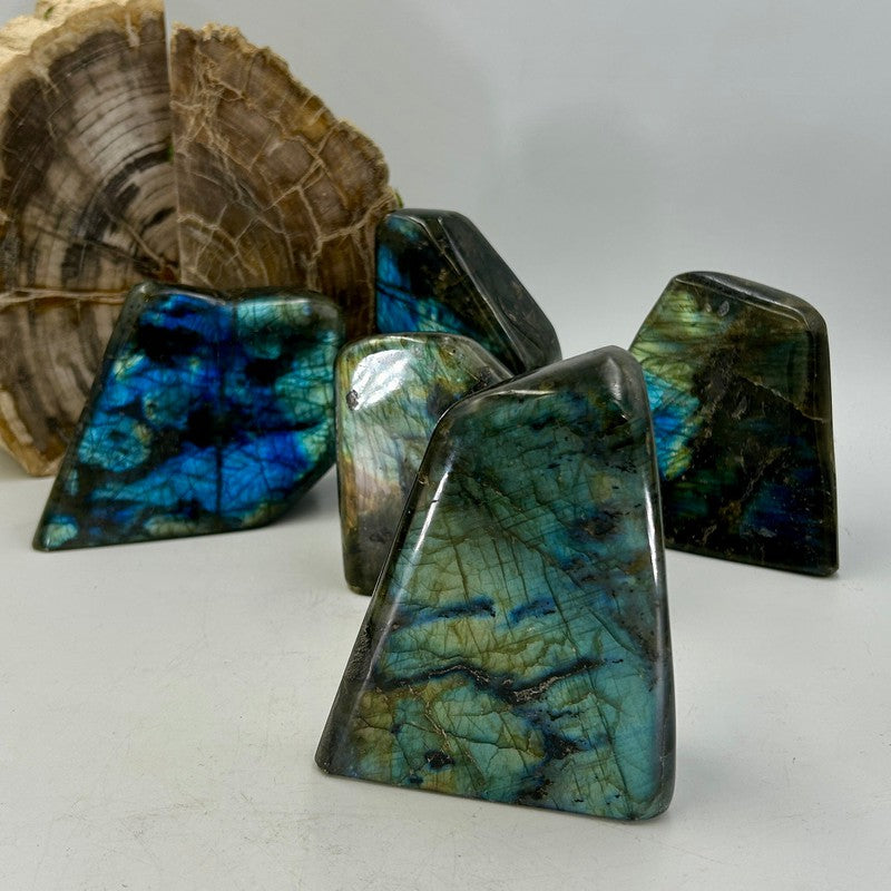 Polished Flashy Labradorite Free Forms || Psychic Protection-Nature's Treasures