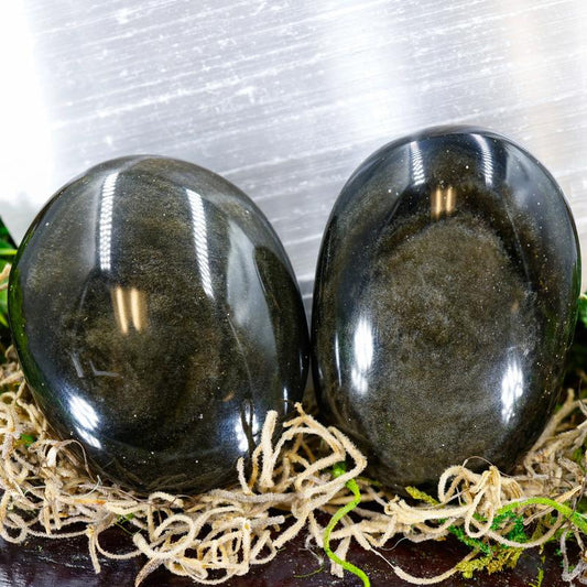 Polished Gold Sheen Obsidian Palm Stones || Trunk Show 2024-Nature's Treasures