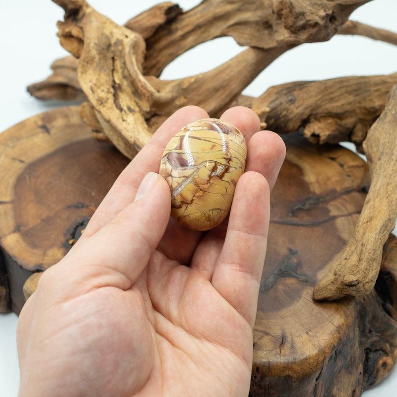 Polished Ibis Jasper Palm Stones || Astral Travel || Madagascar-Nature's Treasures