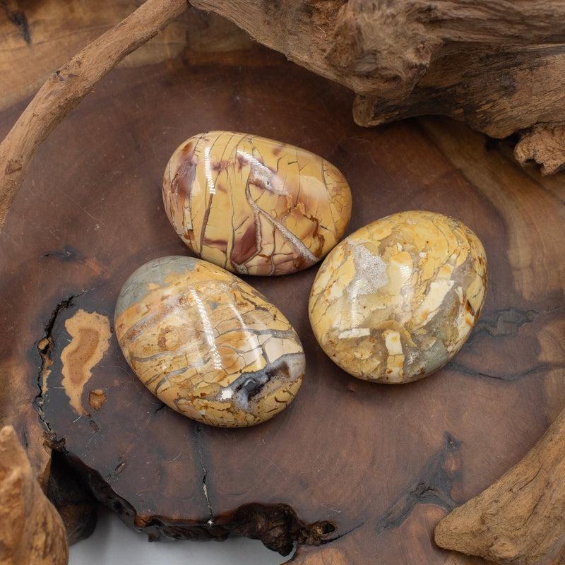 Polished Ibis Jasper Palm Stones || Astral Travel || Madagascar-Nature's Treasures