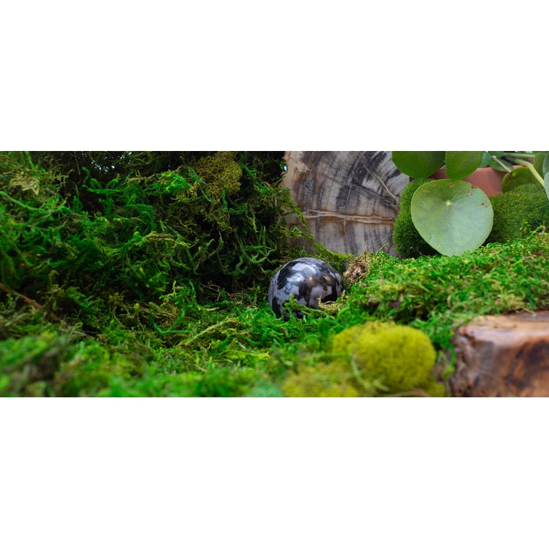 Polished Indigo Gabbro Spheres || Shadow Work || Madagascar-Nature's Treasures