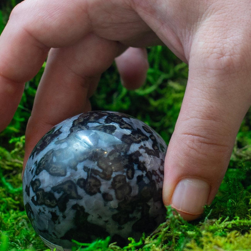 Polished Indigo Gabbro Spheres || Shadow Work || Madagascar-Nature's Treasures