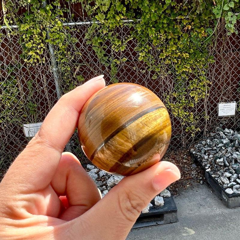 Polished Iron Tiger's Eye Spheres || Motivation || Canada-Nature's Treasures