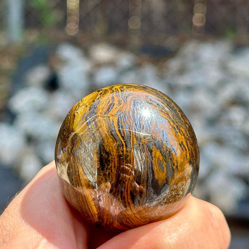 Polished Iron Tiger's Eye Spheres || Motivation || Canada-Nature's Treasures