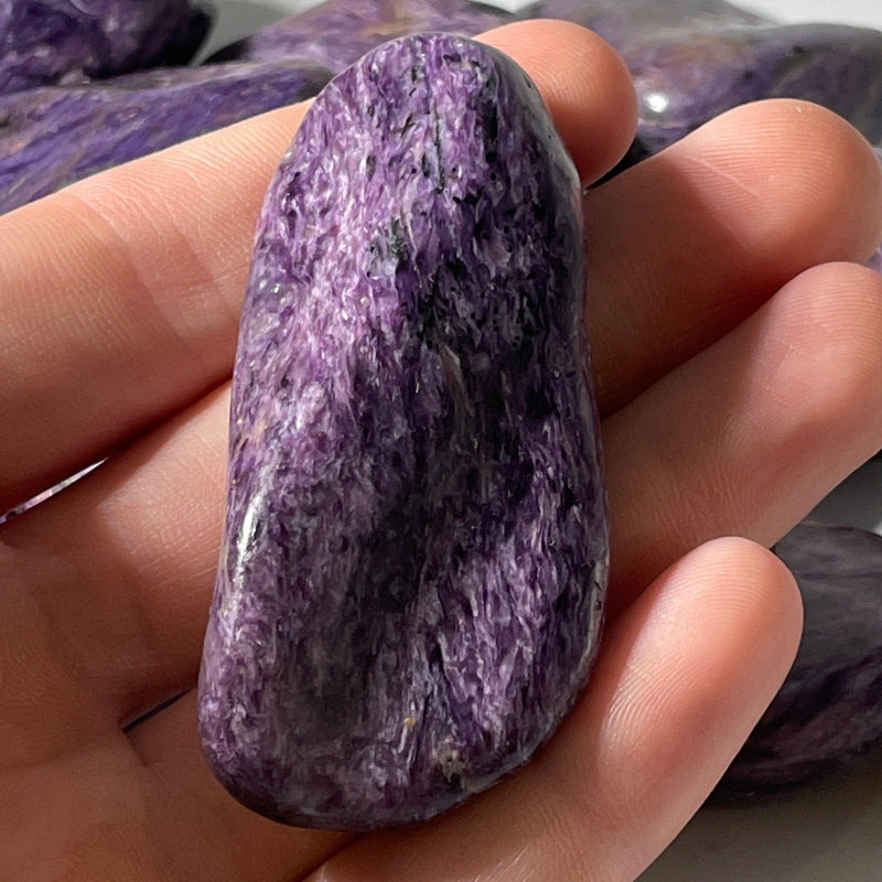 Polished Jumbo Exotic Charoite Tumbled Stones || Russia-Nature's Treasures