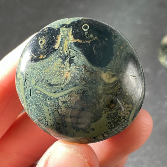 Polished Kambaba Jasper Palm Stones || Madagascar-Nature's Treasures