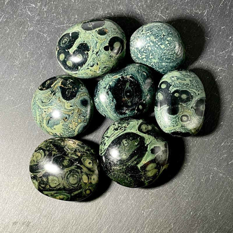 Polished Kambaba Jasper Palm Stones || Madagascar-Nature's Treasures