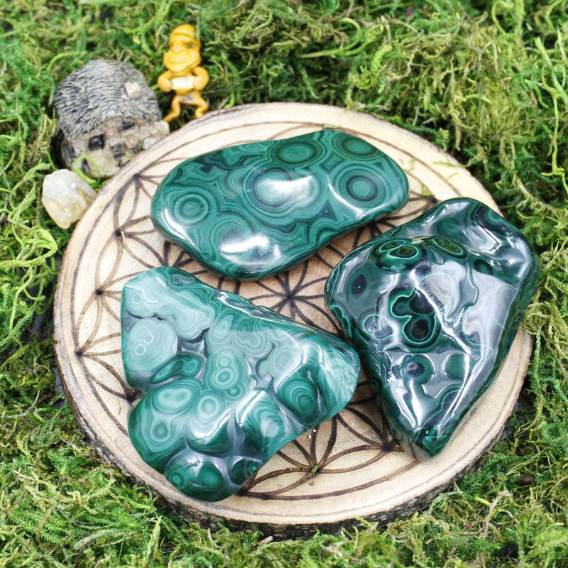Polished Malachite Free Forms || Transformation || Africa-Nature's Treasures