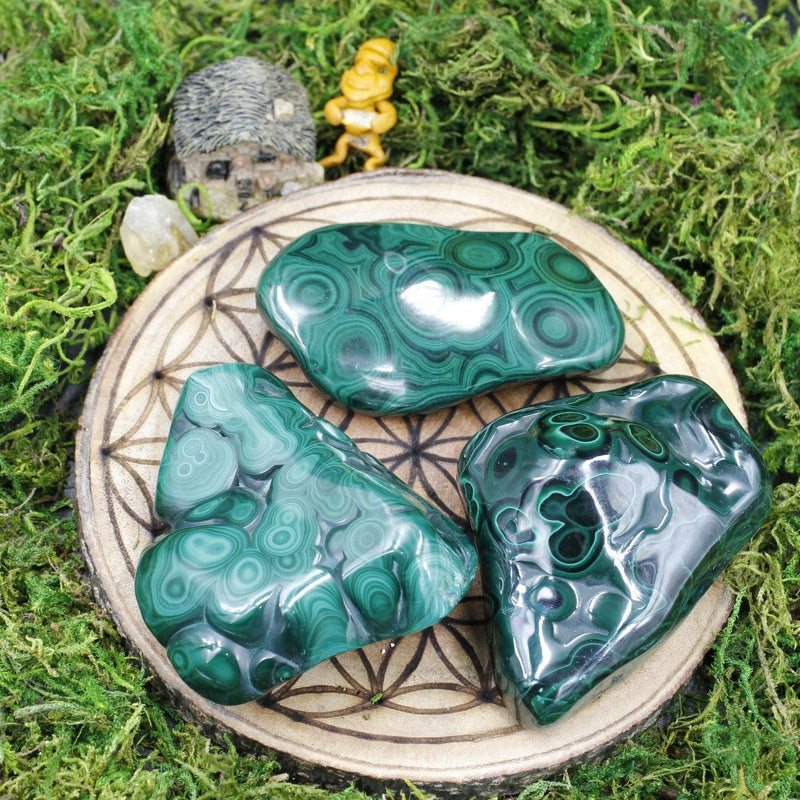 Polished Malachite Free Forms || Transformation || Africa-Nature's Treasures