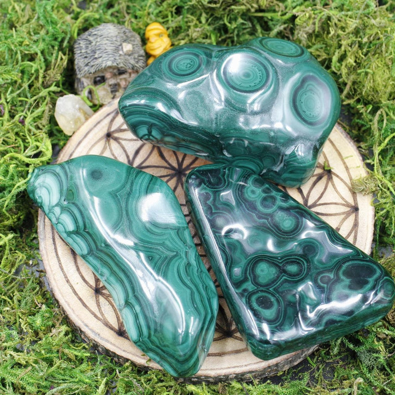 Polished Malachite Free Forms || Transformation || Africa-Nature's Treasures