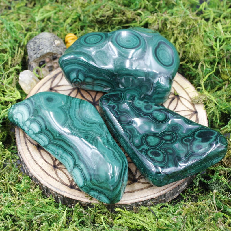 Polished Malachite Free Forms || Transformation || Africa-Nature's Treasures