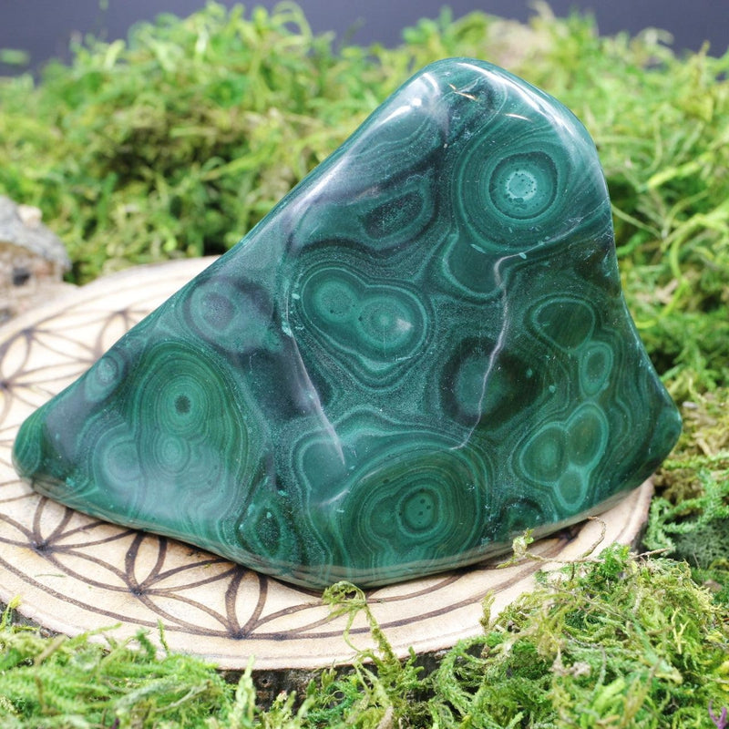 Polished Malachite Free Forms || Transformation || Africa-Nature's Treasures