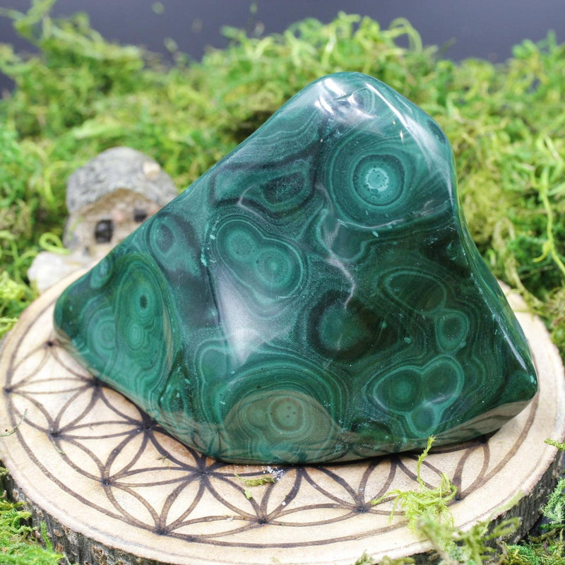 Polished Malachite Free Forms || Transformation || Africa-Nature's Treasures