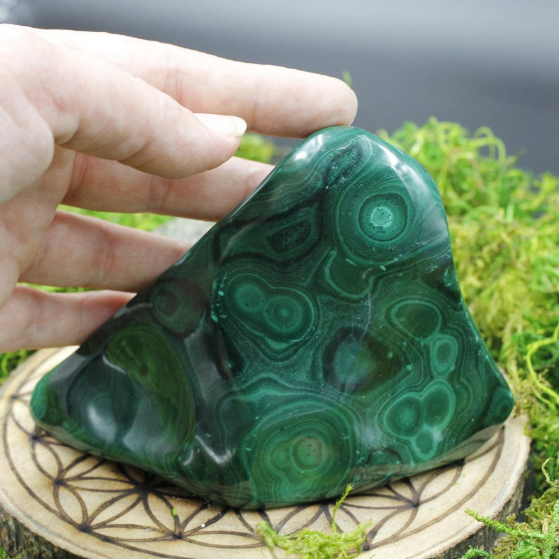 Polished Malachite Free Forms || Transformation || Africa-Nature's Treasures