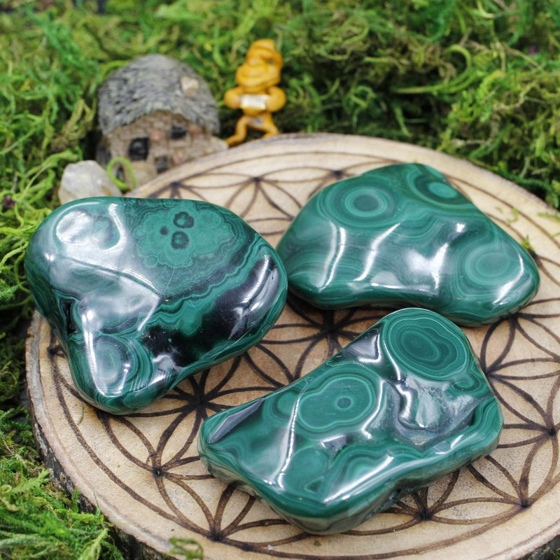 Polished Malachite Free Forms || Transformation || Africa-Nature's Treasures