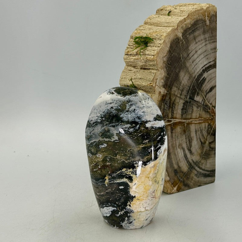 Polished Ocean Jasper Free Forms || Madagascar-Nature's Treasures