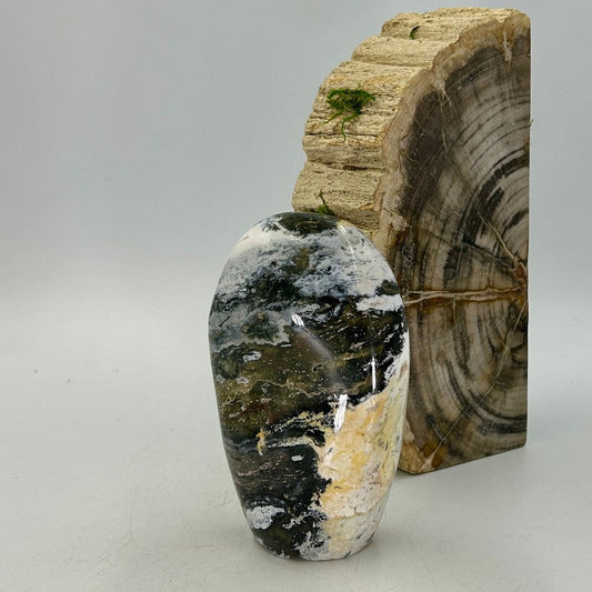 Polished Ocean Jasper Free Forms || Madagascar-Nature's Treasures