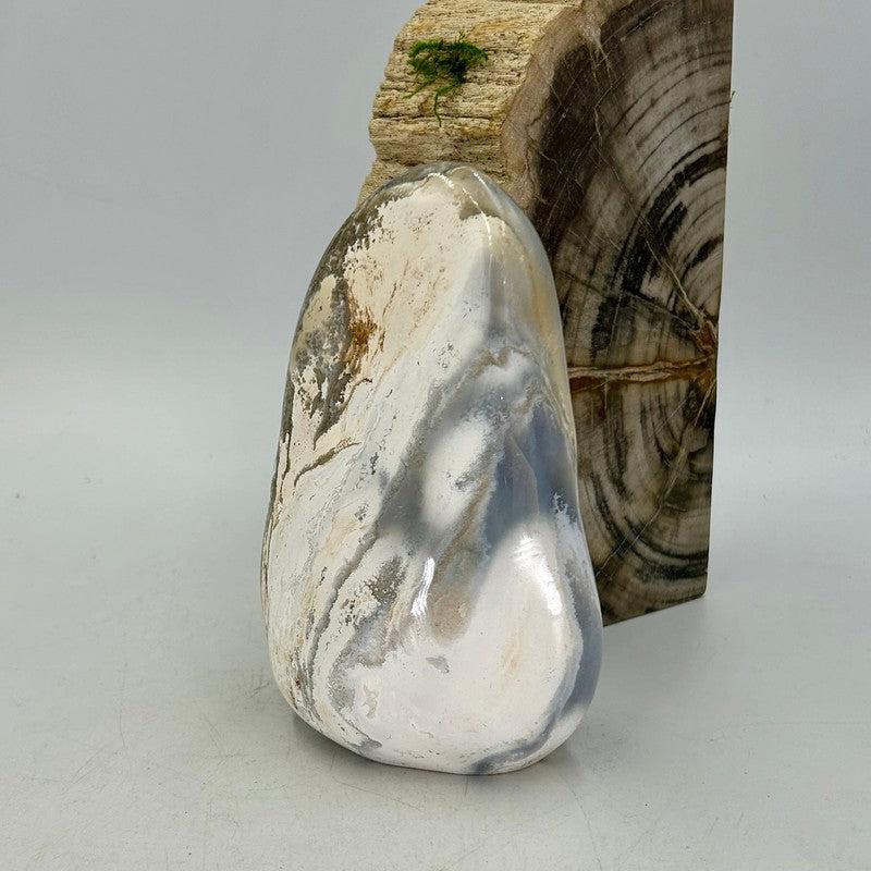 Polished Ocean Jasper Free Forms || Madagascar-Nature's Treasures