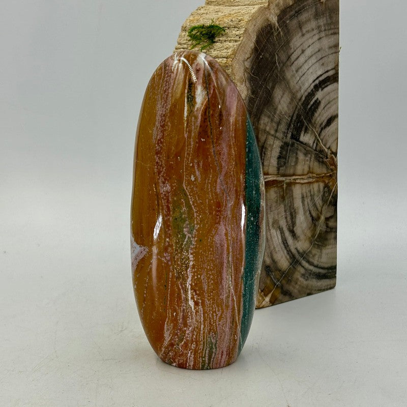 Polished Ocean Jasper Free Forms || Madagascar-Nature's Treasures