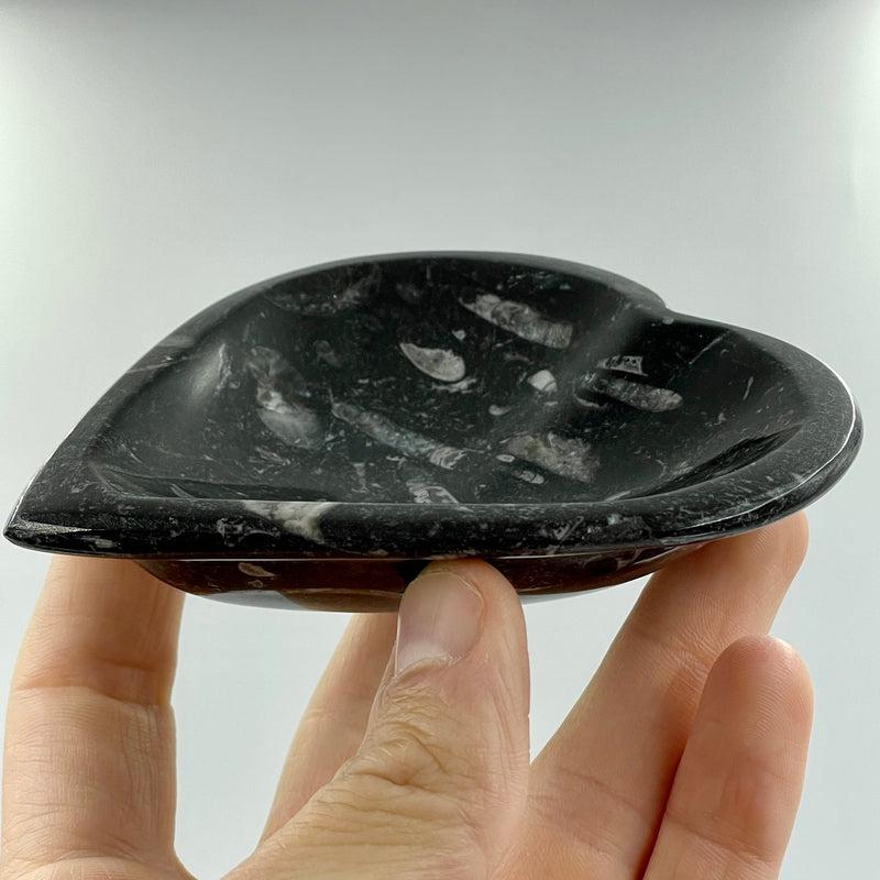 Polished Orthoceras Fossil Heart Dish || Morocco