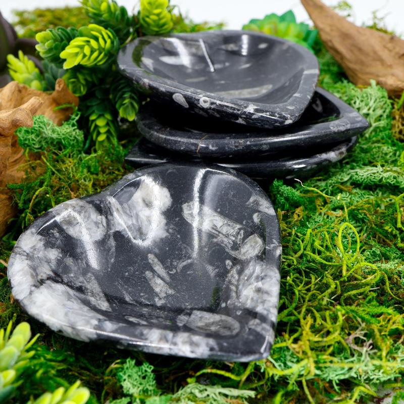 Polished Orthoceras Fossil Heart Dish from Morocco-Nature's Treasures