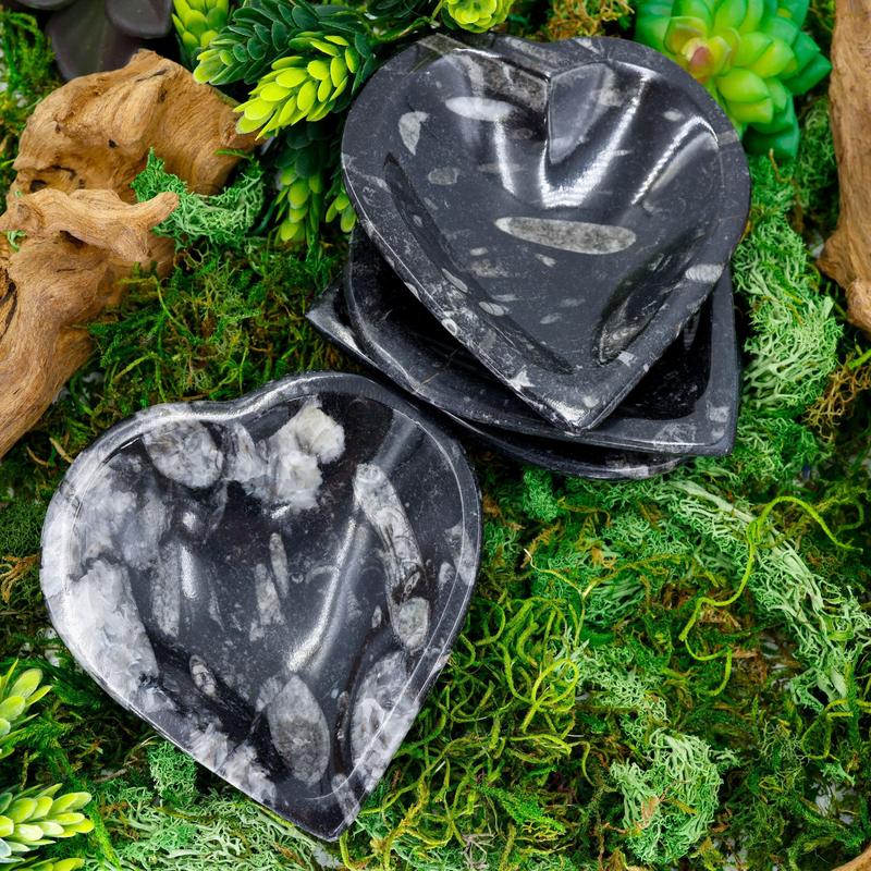 Polished Orthoceras Fossil Heart Dish from Morocco-Nature's Treasures