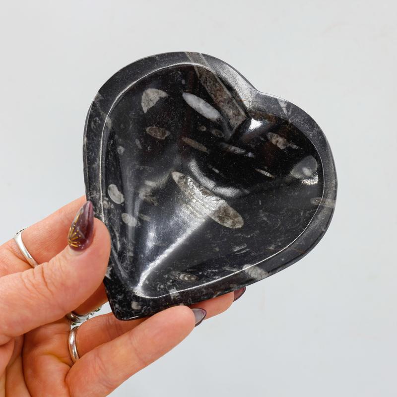 Polished Orthoceras Fossil Heart Dish from Morocco-Nature's Treasures
