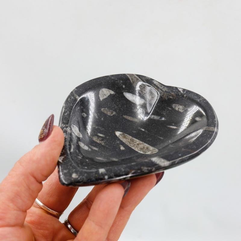 Polished Orthoceras Fossil Heart Dish from Morocco-Nature's Treasures