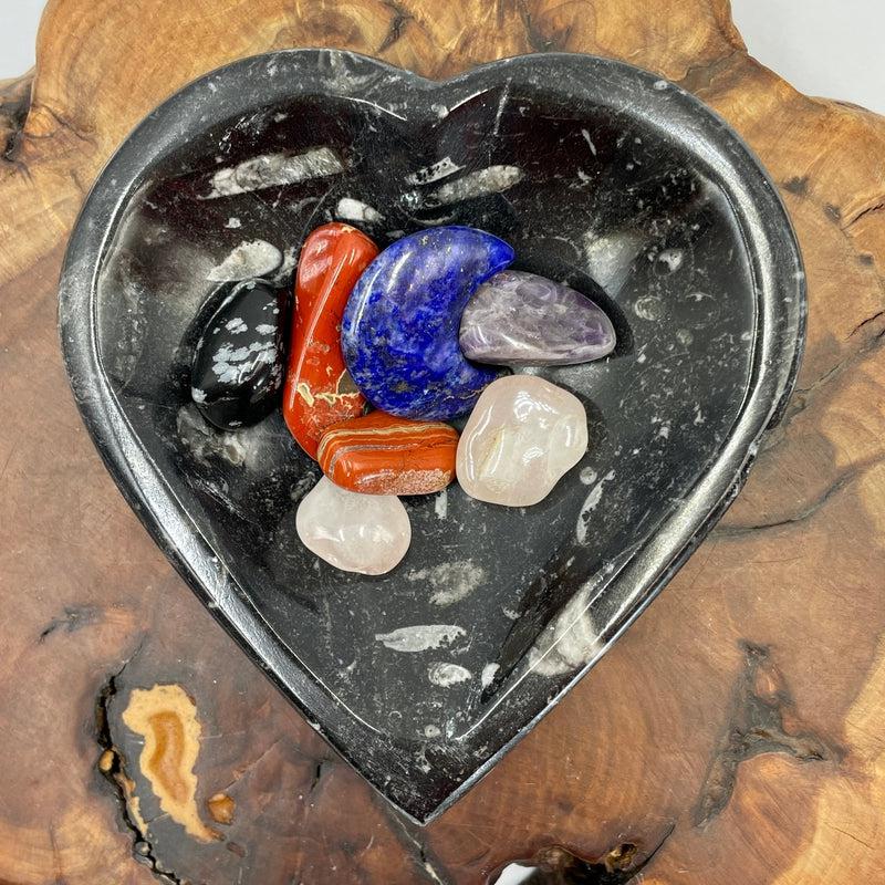 Polished Orthoceras Fossil Heart Dish from Morocco-Nature's Treasures