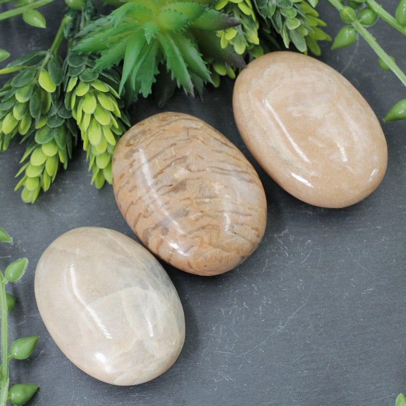 Polished Peach Moonstone Palm Stones || Calmness || India