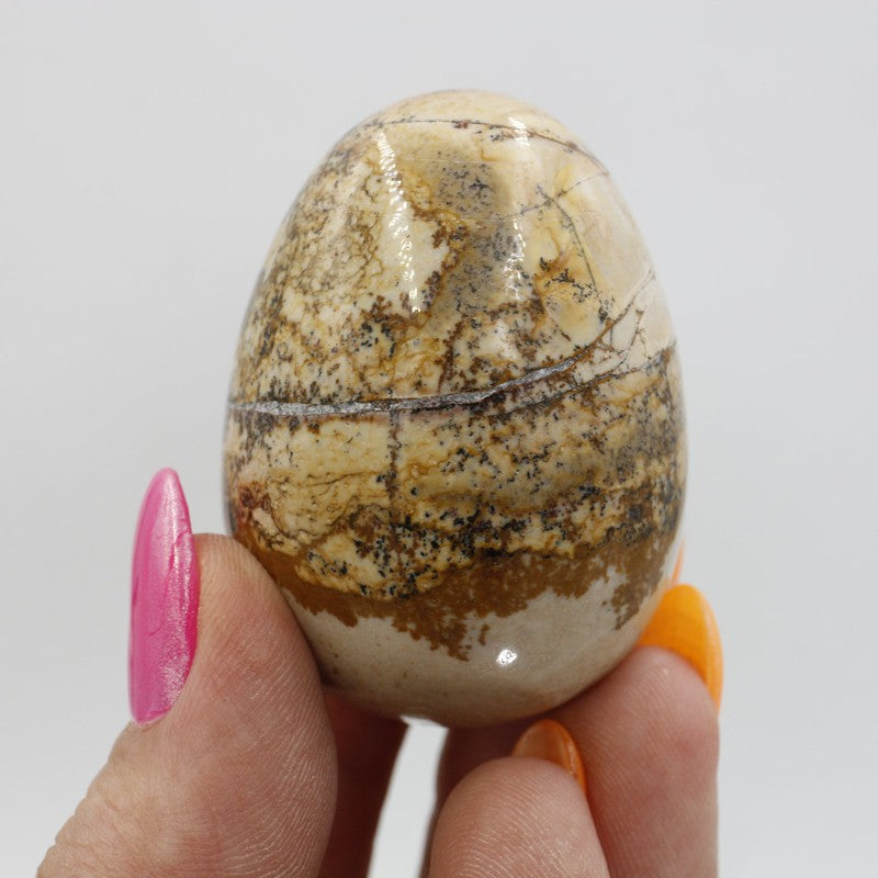 Polished Picture Jasper Eggs 45mm || Grounding-Nature's Treasures