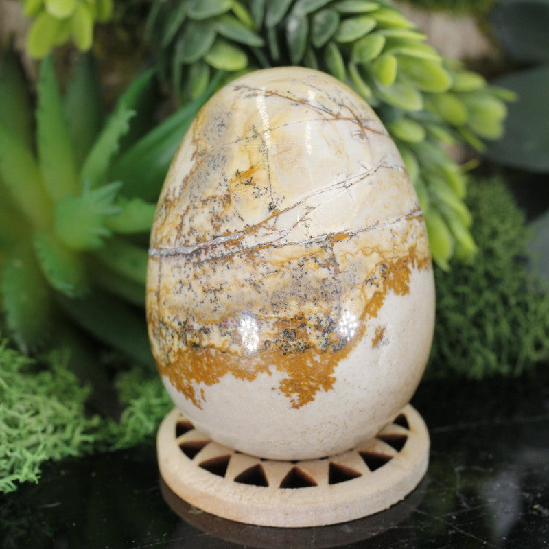 Polished Picture Jasper Eggs 45mm || Grounding