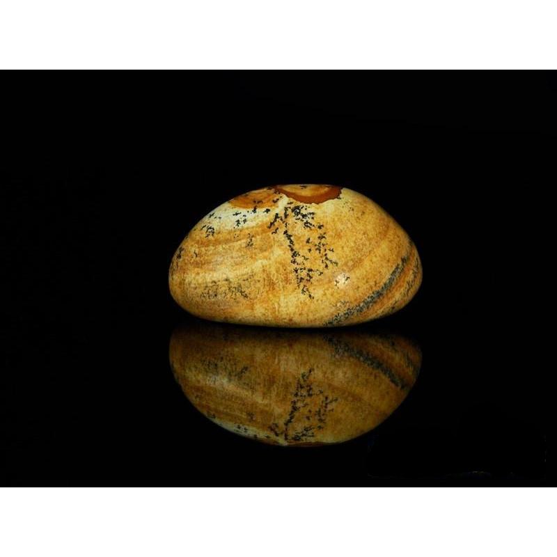 Polished Picture Jasper Massage Stone Tool || Spiritual Growth-Nature's Treasures