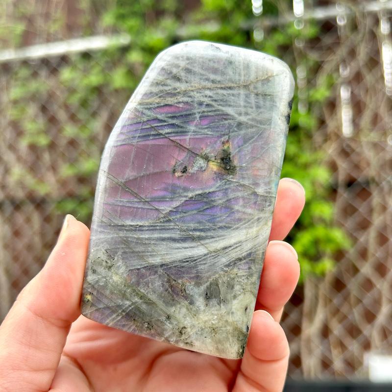 Polished Rare Purple Flash Labradorite Free Forms || Trunk Show-Nature's Treasures