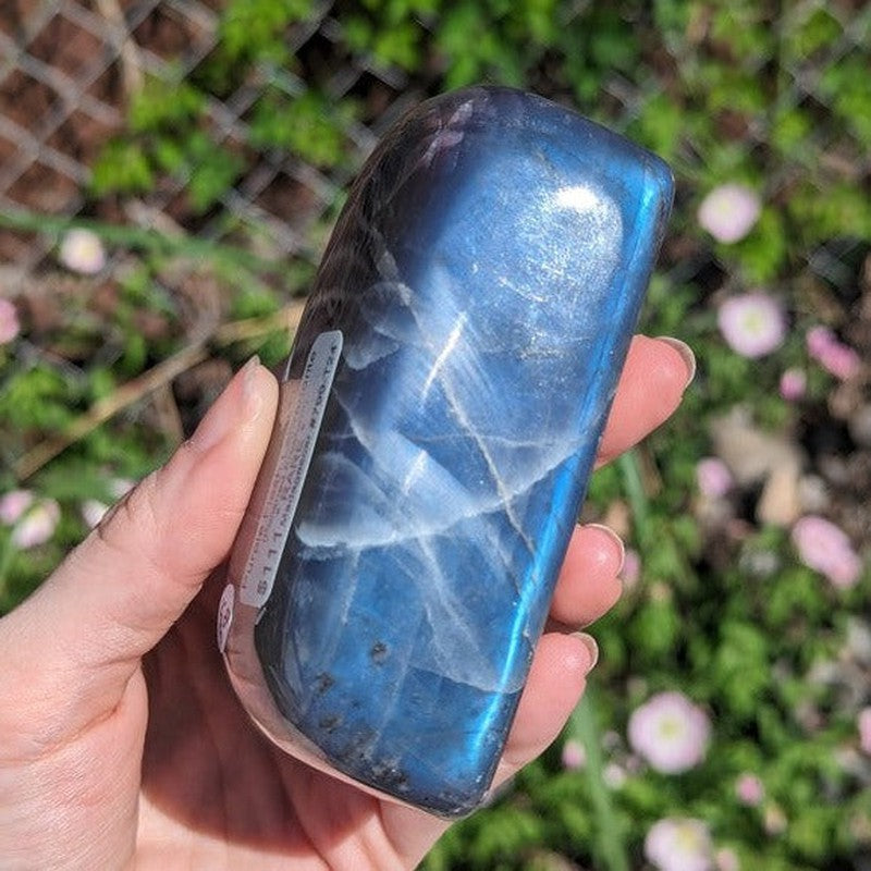 Polished Rare Purple Flash Labradorite Free Forms || Trunk Show-Nature's Treasures
