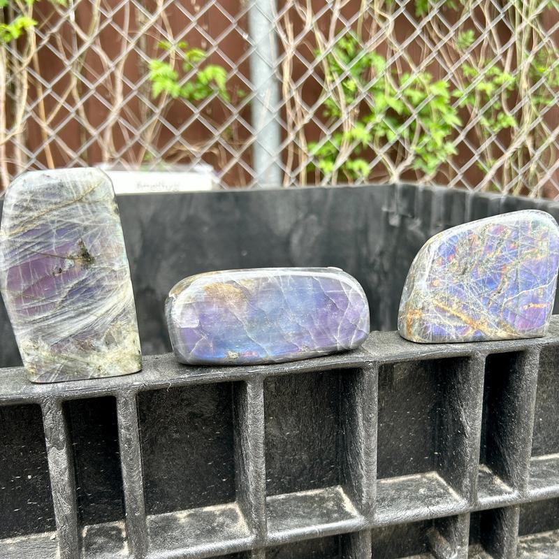 Polished Rare Purple Flash Labradorite Free Forms || Trunk Show-Nature's Treasures