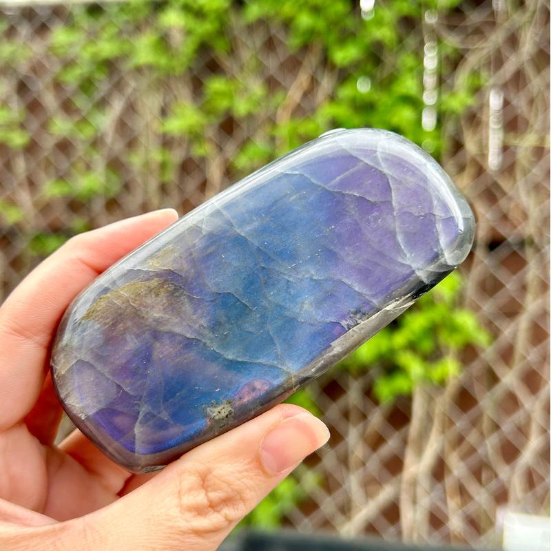 Polished Rare Purple Flash Labradorite Free Forms || Trunk Show-Nature's Treasures