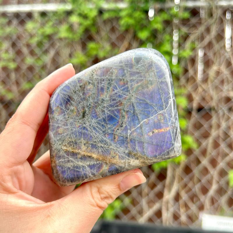 Polished Rare Purple Flash Labradorite Free Forms || Trunk Show-Nature's Treasures